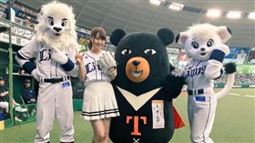 ▲西武獅台灣日。（圖／翻攝自推特）