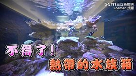 ▲Joeman開箱好友位於台中七期的豪宅。（圖／Joeman 授權）