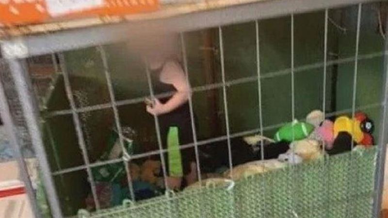 當狗養？1歲童「住鐵籠」隔壁爬蟒蛇