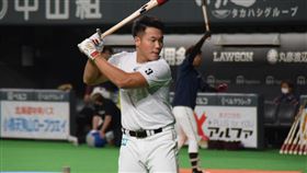 ▲王柏融（圖／翻攝自火腿隊官方推特）