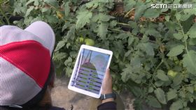 智慧城鄉Ｘ玉美生技　解決農業困境