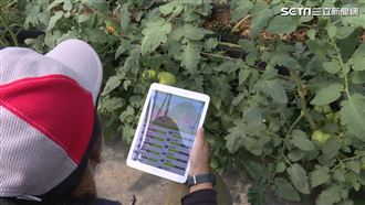 智慧城鄉Ｘ玉美生技　解決農業困境