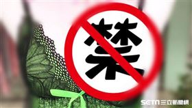 女模特遭性騷擾／林小姐授權提供