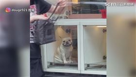 ▲豆哥看到女生走過眉開眼笑。（圖／My Name is豆哥 授權）