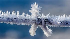 「寒露」（Pixabay）