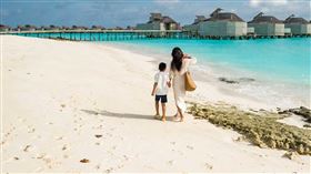 名家專用／草根影響力新視野（勿用）