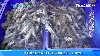 母女倆愛的泰國蝦　20年賣出一片天