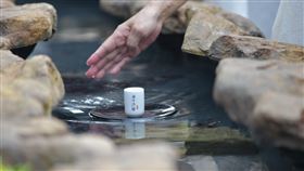 ▲（圖／主辦單位提供）