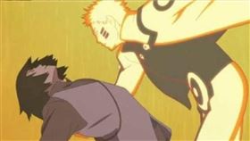 火影忍者,博人傳,佐助,鳴人,領便當