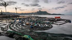 名家專用／草根影響力新視野（勿用）