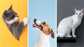 名家專用／網路溫度計（勿用）