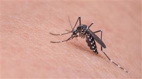 6歲被蚊子咬！父母沒錢醫拖21年⋯他腫成「5倍象腿」▲（圖／翻攝自ទ្រី ដាណា Dana Try臉書）