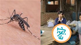 6歲被蚊子咬！父母沒錢醫拖21年⋯他腫成「5倍象腿」▲（圖／翻攝自ទ្រី ដាណា Dana Try臉書）