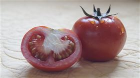 蕃茄（圖／翻攝自unsplash）