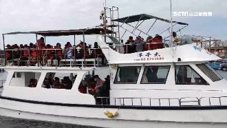 賞鯨船3天沒出航　復航首日遊客擠爆