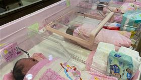 國慶寶寶,新竹市,市長,生育補助,林智堅