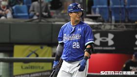 ▲富邦悍將外野手高國輝。（圖／記者劉彥池攝影）