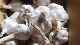 他剝3小時蒜頭手指辣爆　照片網歪樓（圖／翻攝自爆系知識家臉書）