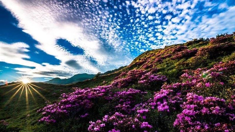 IG紅什麼／清境絕美天空　網喊仙境