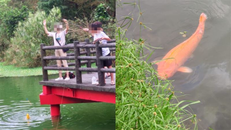 望龍埤當釣魚場？2孩媽嗨釣鯉魚惹議