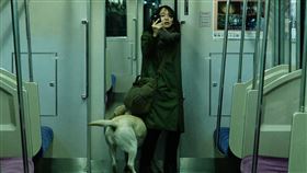 《看不見的目擊者》華映提供