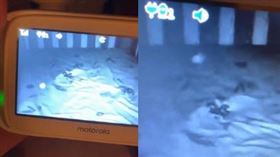 這名父親嘗試吹動或拍擊球體，但他不為所動，持續在嬰兒床邊盤旋5分鐘（圖／翻攝自Reddit討論區） 