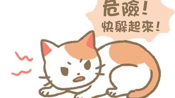 貓奴快筆記！喵皇6種叫聲的含意