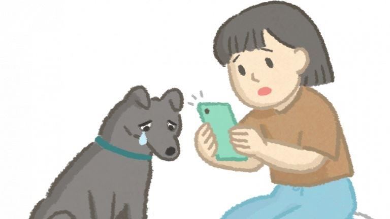虐待動物案件發生時　可以怎麼處理呢