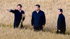 中國現糧食危機！小麥產量減近千萬噸　習近平急壞下令節約，圖／人民日報微博