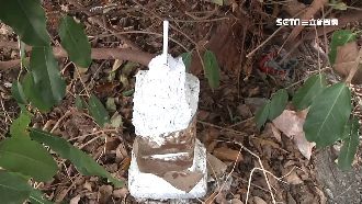 路邊驚見吸管怪石像　民眾目睹發毛