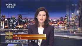 李紅（圖／翻攝自央視國際YouTube頻道）