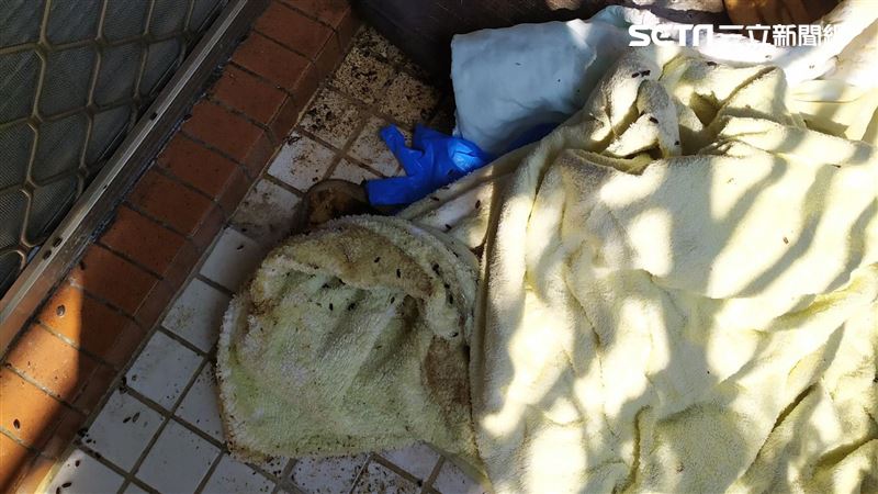 獨／台南婦成怨靈　一喚名「撲」屍臭