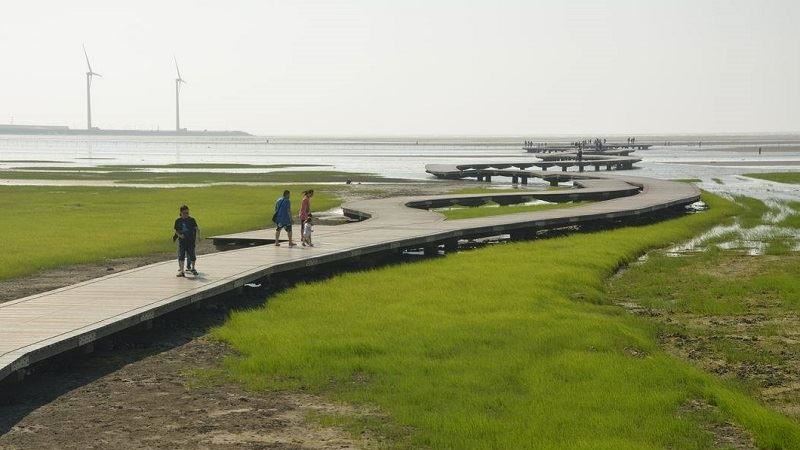 注意！高美濕地木棧道展開例行維護