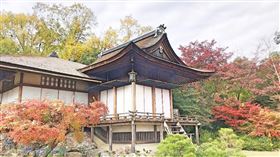 名家專用／草根影響力新視野（勿用）