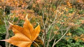 （圖／Tripbaa趣吧！達人帶路）