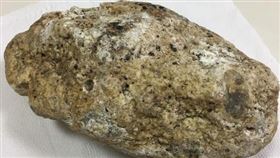 龍涎香,鑑定,大便,結石,化驗