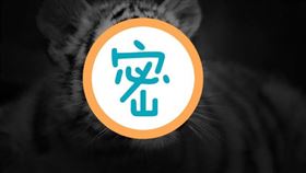 老虎，小老虎（示意圖／翻攝自Pixabay）