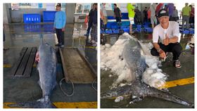 鏢旗魚 旗魚 魚肉 漁市場(圖／記者王浩原拍攝)