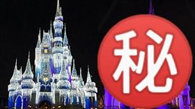 NBA／湖人奪冠　迪士尼出現紫金城 NBA,總冠軍,洛杉磯湖人,LeBron James,迪士尼,灰姑娘城堡,Cinderella Castle 翻攝自IG disney