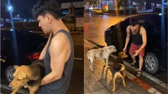 泰歐巴喝茫綁架浪浪回家　結局超感人