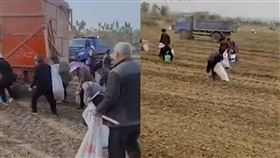 他忙收割花生…百位村民竄出「跟在後面狂撿」　警察也傻眼（圖／翻攝自微博）