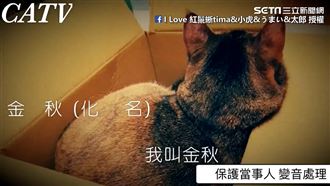 罐罐成「湯Plus」　牠：想淹死我