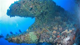 帛琉海底景觀壯麗。（圖／業者提供）