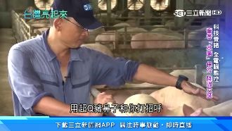 高科技畜牧　養豬場沼氣發電拚高收益