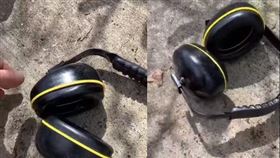  奧利戴上耳機後，覺得耳朵有點癢。（圖／翻攝自LandlineABC臉書）