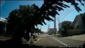 竹北,颳風,陣風,樹倒,轎車