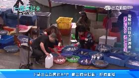 W幫派控商.旅1800