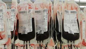 血 血型 紅血球(圖／翻攝自Pixabay)