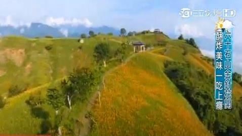 不只金針花　六十石山夜間秘境新亮點