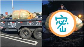 種出1066公斤南瓜！「超巨照」曝光…他爽抱47萬回家（圖／翻攝自Travis Gienger臉書）